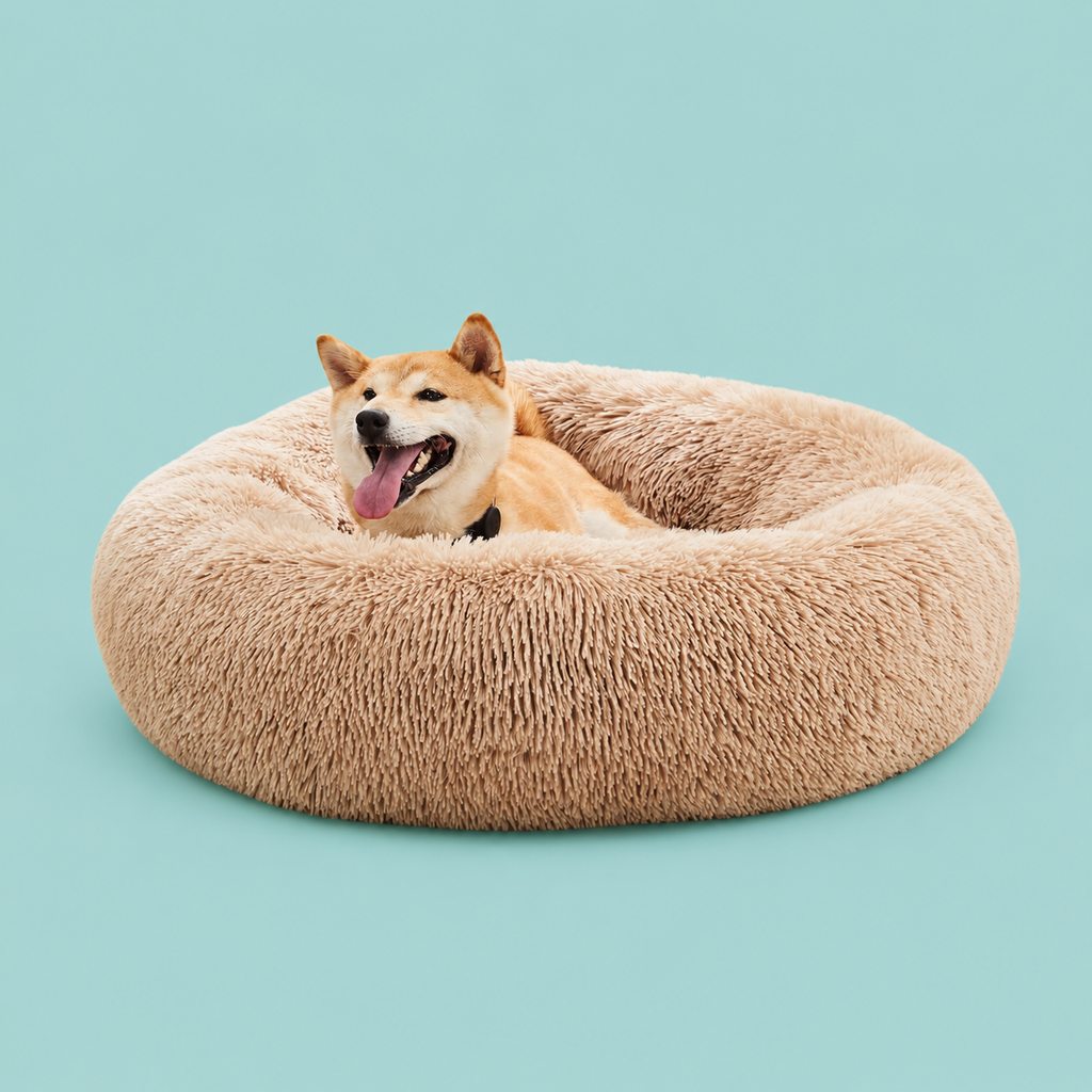 Calming Bed
